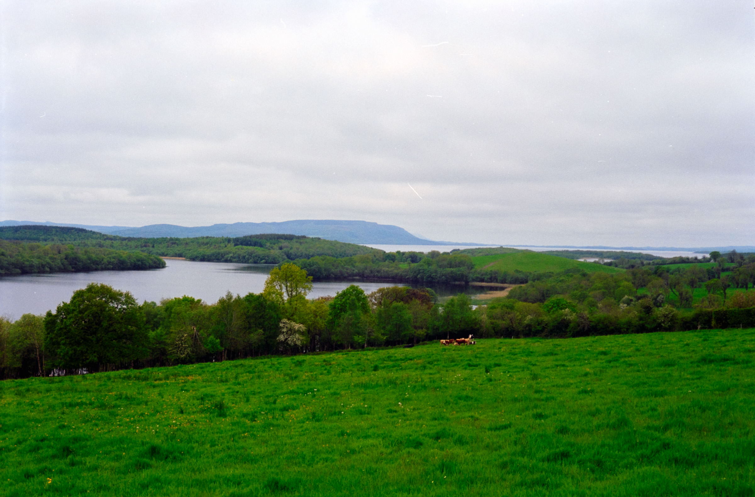 AHP F1998 05 003 sc240815 img09 NLP